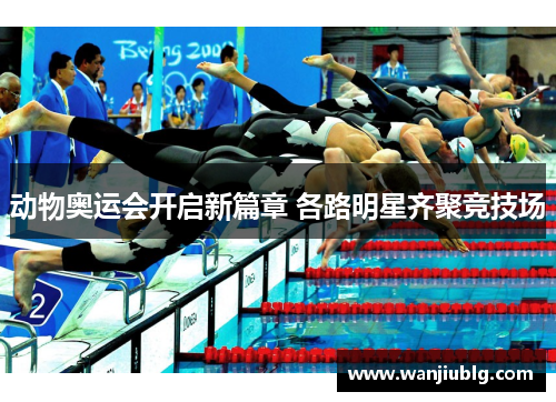 动物奥运会开启新篇章 各路明星齐聚竞技场